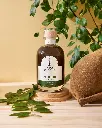 Le Verger Creole 07.webp